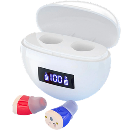Hearing Aid